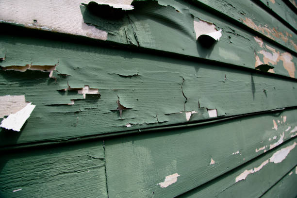 Best Custom Trim and Detailing for Siding  in Emerd Mountain, AL