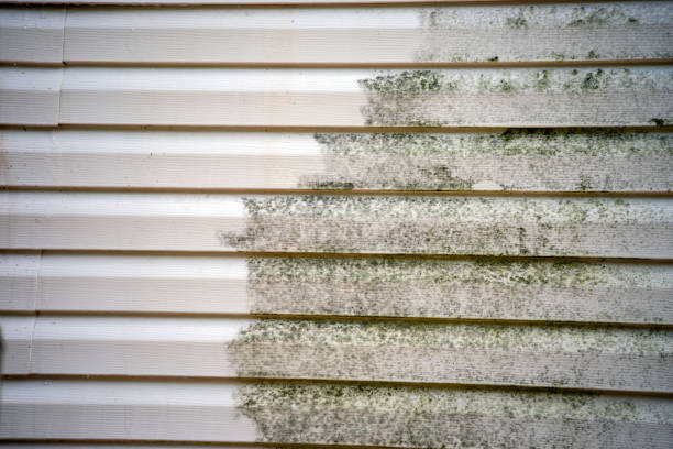 Best Historical Building Siding Restoration  in Emerd Mountain, AL