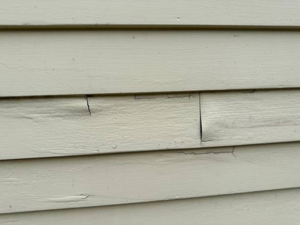 Best Storm Damage Siding Repair  in Emerd Mountain, AL